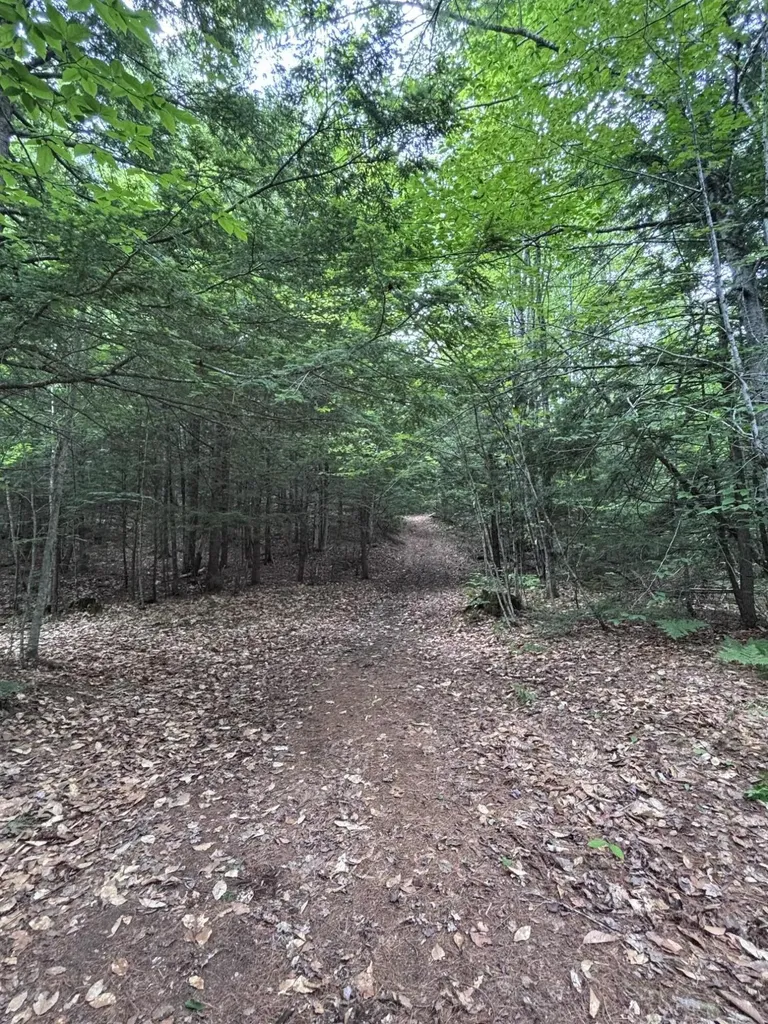 Lot #22 Streaked Mountain Road Buckfield ME 04220