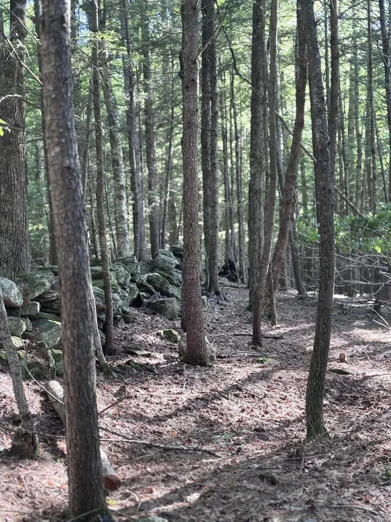 Lot #22 Streaked Mountain Road Buckfield ME 04220