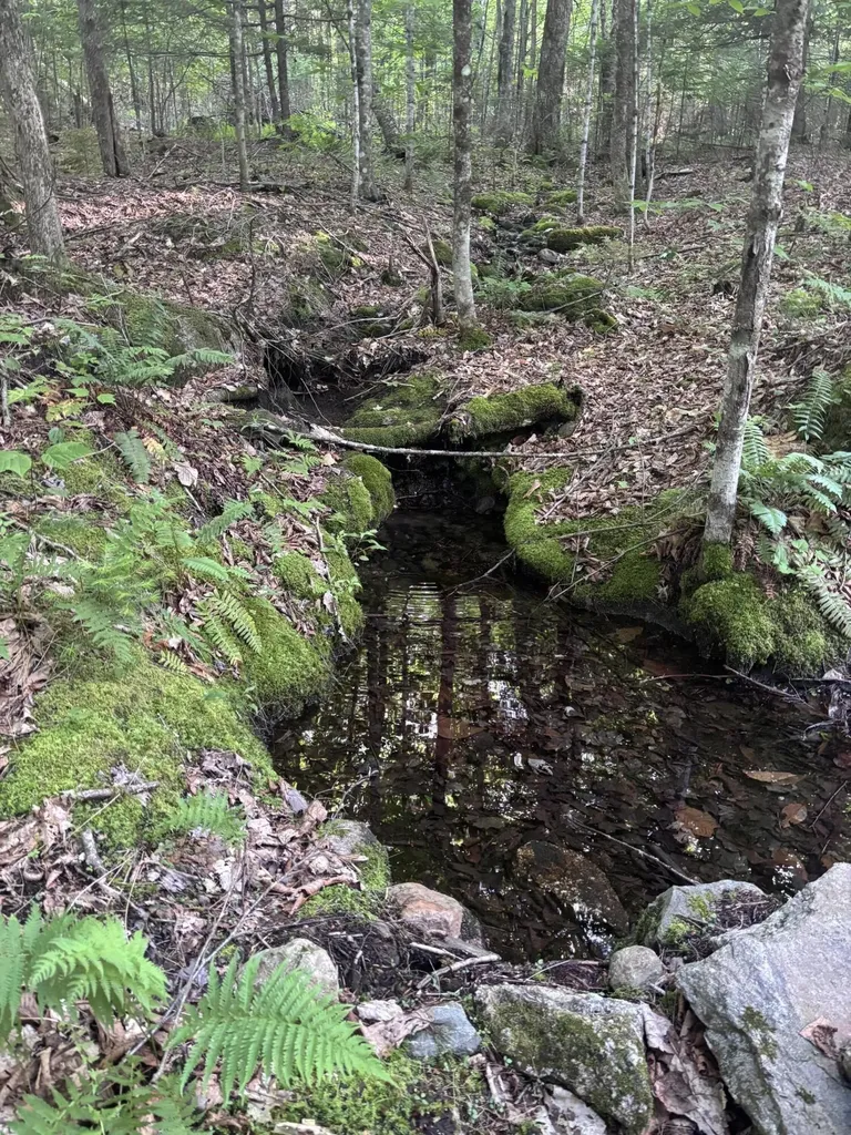 Lot #22 Streaked Mountain Road Buckfield ME 04220