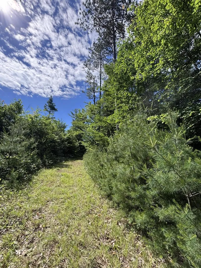 Lot #22 Streaked Mountain Road Buckfield ME 04220