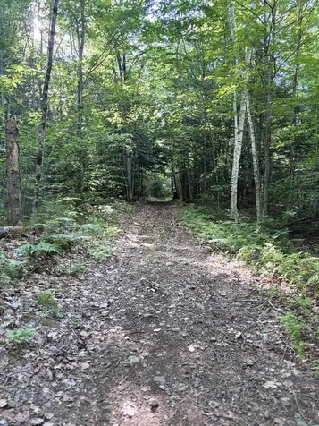 Lot #22 Streaked Mountain Road Buckfield ME 04220