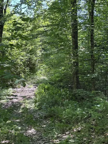 Lot #22 Streaked Mountain Road Buckfield ME 04220