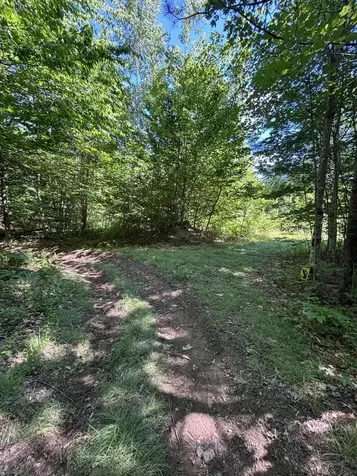 Lot #22 Streaked Mountain Road Buckfield ME 04220