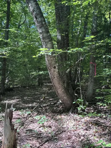 Lot #22 Streaked Mountain Road Buckfield ME 04220
