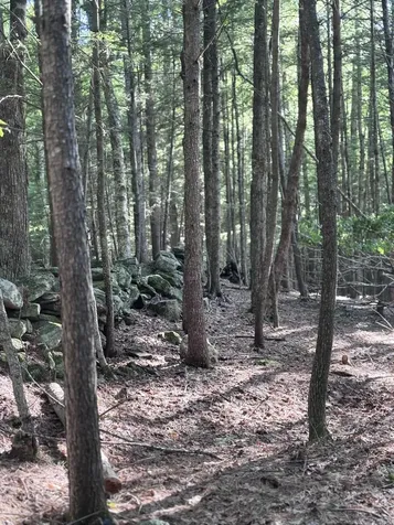 Lot #22 Streaked Mountain Road Buckfield ME 04220