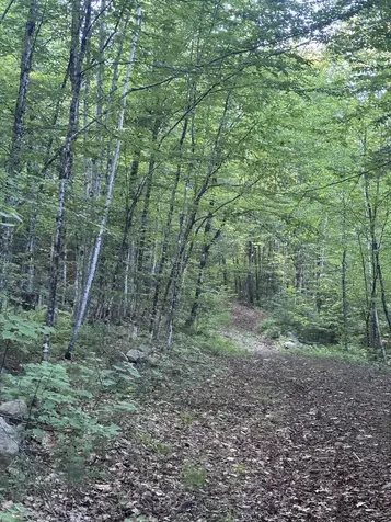 Lot #22 Streaked Mountain Road Buckfield ME 04220