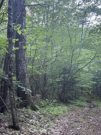 Lot #22 Streaked Mountain Road Buckfield ME 04220