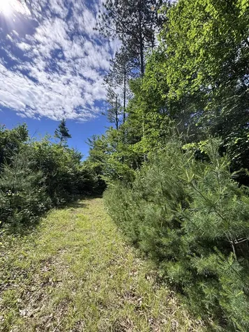 Lot #22 Streaked Mountain Road Buckfield ME 04220