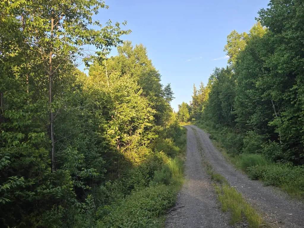 27B6/17/24 Dixie Road Lubec ME 04652