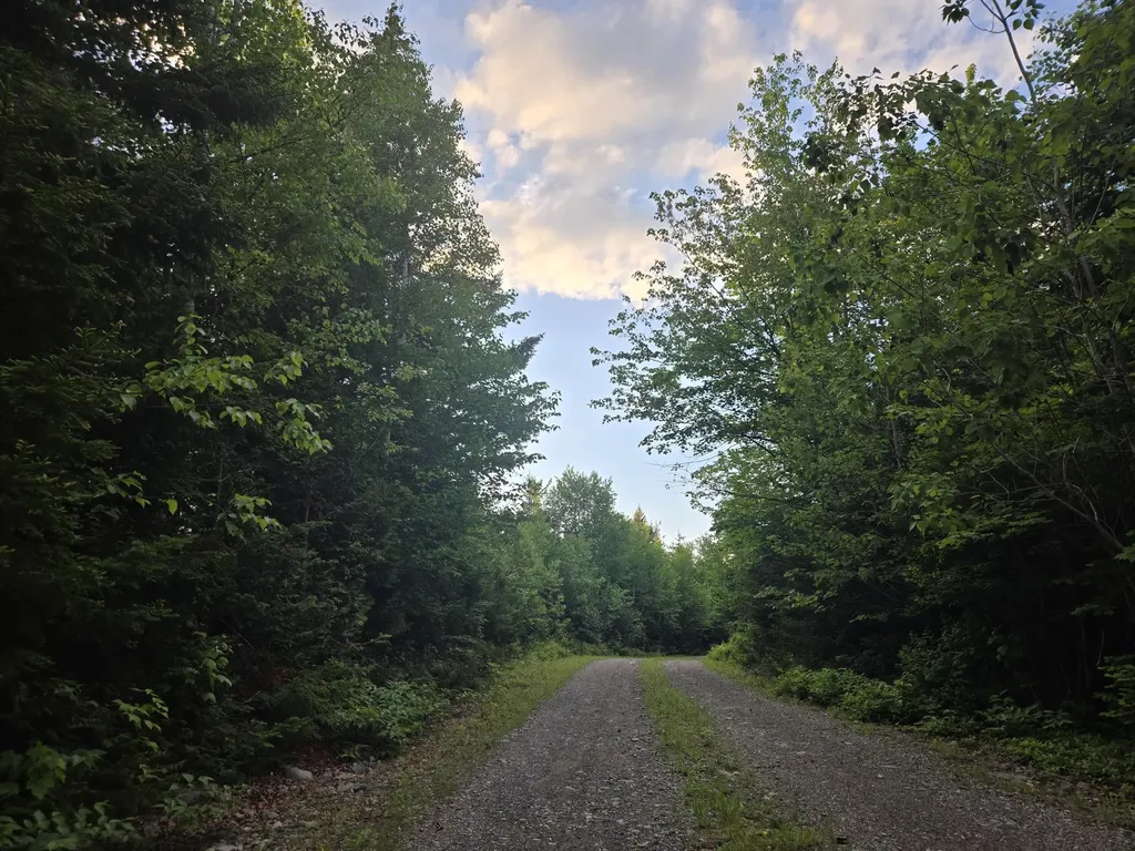 27B6/17/24 Dixie Road Lubec ME 04652