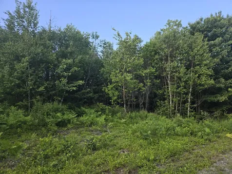 27B6/17/24 Dixie Road Lubec ME 04652