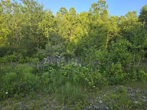 27B6/17/24 Dixie Road Lubec ME 04652