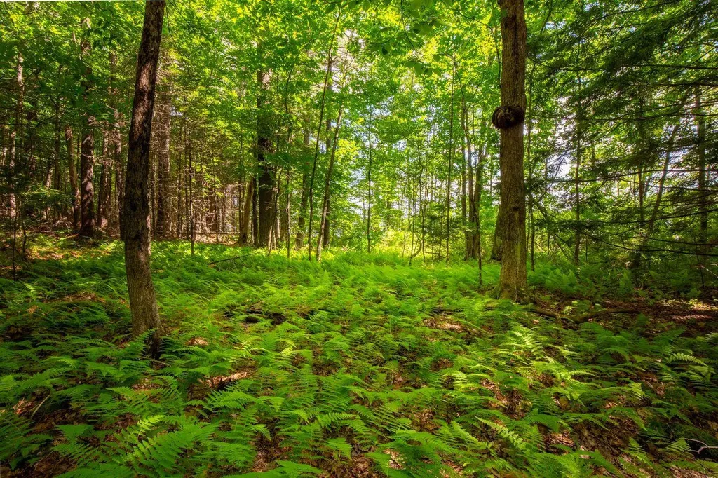 Lot 17-1 Provost Road Jefferson ME 04348