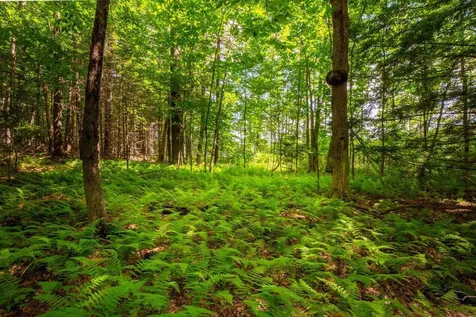 Lot 17-1 Provost Road Jefferson ME 04348