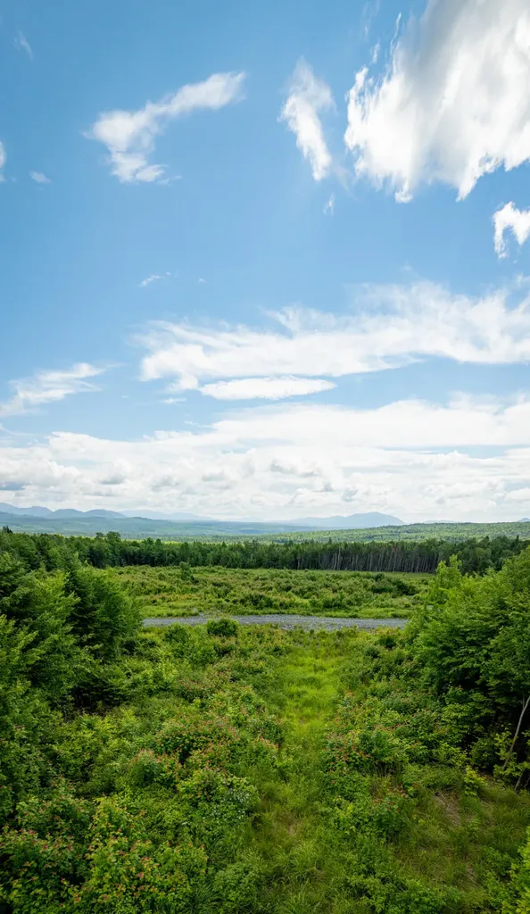 8 East Ridge Drive Greenville ME 04441