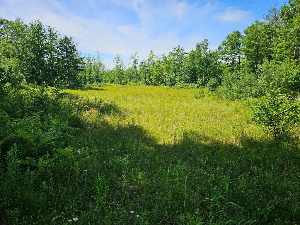 579 Maple Ridge Road Harrison ME 04040
