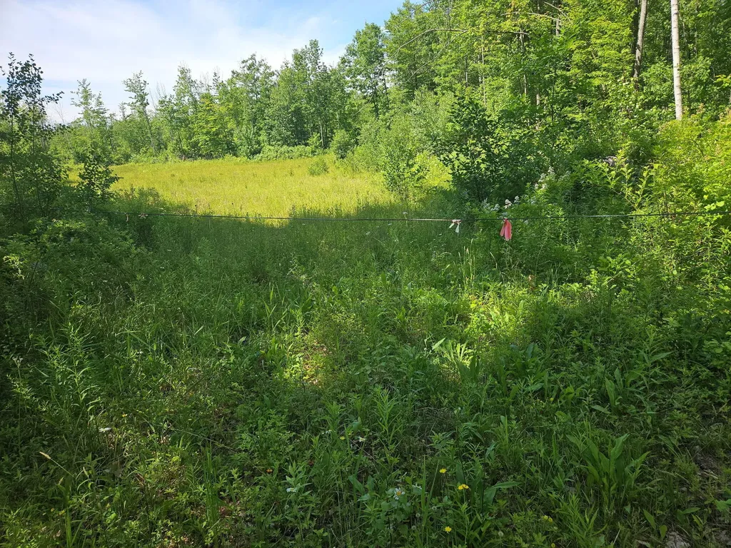579 Maple Ridge Road Harrison ME 04040
