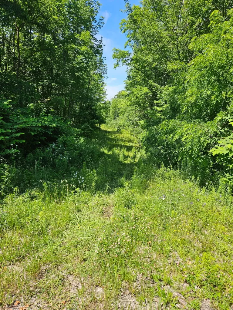579 Maple Ridge Road Harrison ME 04040