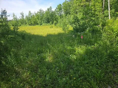 579 Maple Ridge Road Harrison ME 04040