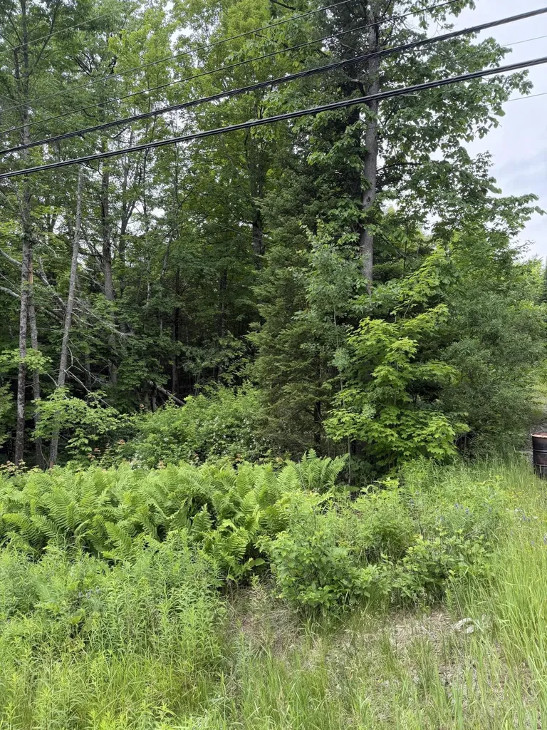 967 Milo Road Sebec ME 04481