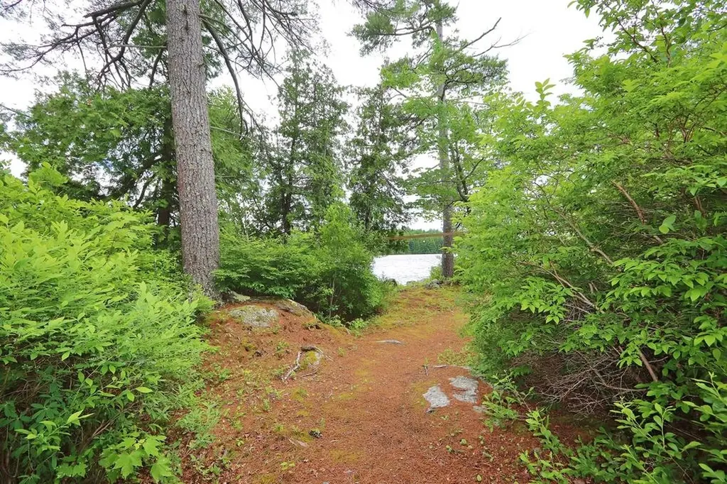 769 Green Lake Road Dedham ME 04429