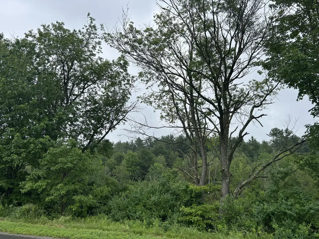 Lot 6 7, 8, 30, 31 Horseback Road Clinton ME 04927