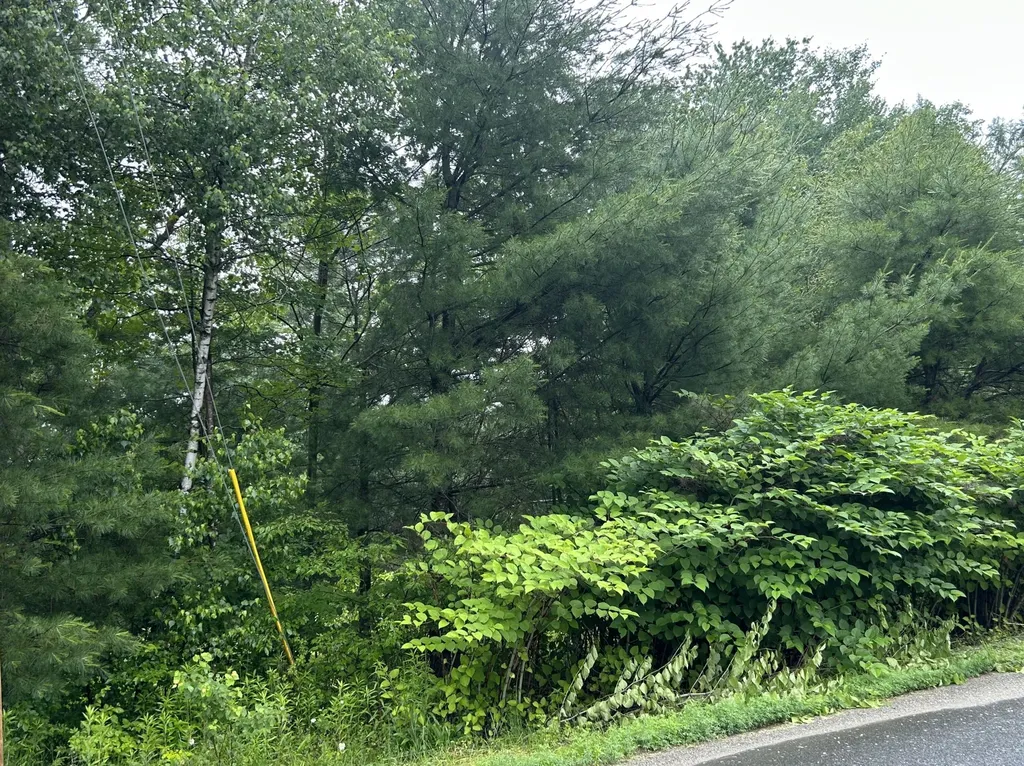 Lot 6 7, 8, 30, 31 Horseback Road Clinton ME 04927