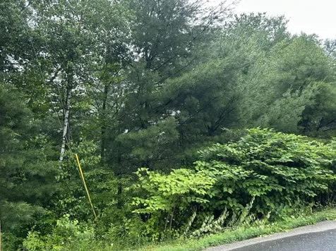 Lot 6 7, 8, 30, 31 Horseback Road Clinton ME 04927