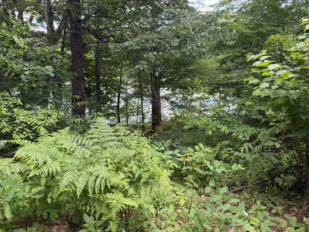 14 Emerson Drive Windham ME 04062
