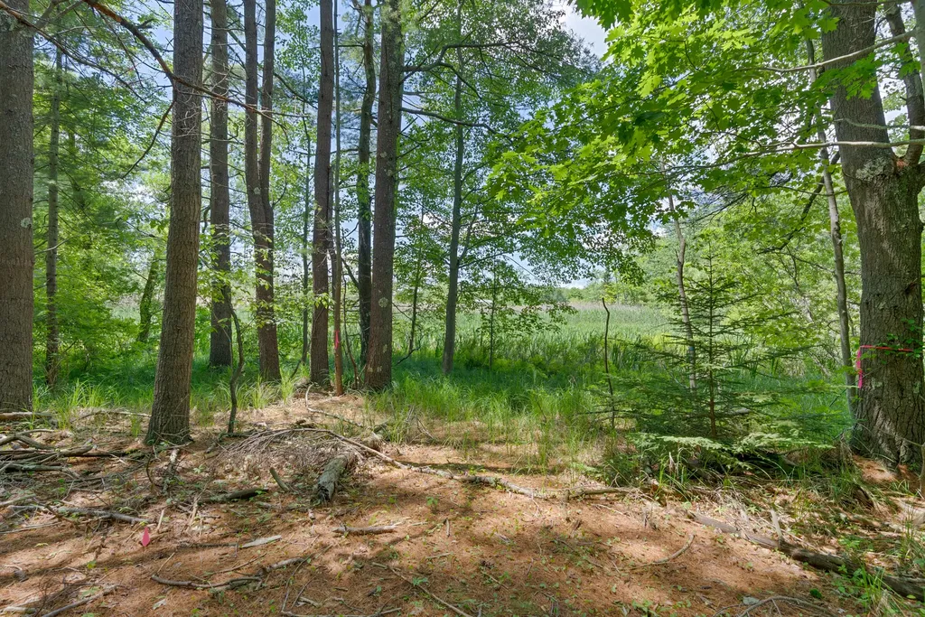 Lot 1 & 12 Wallace Street Kennebunk ME 04043