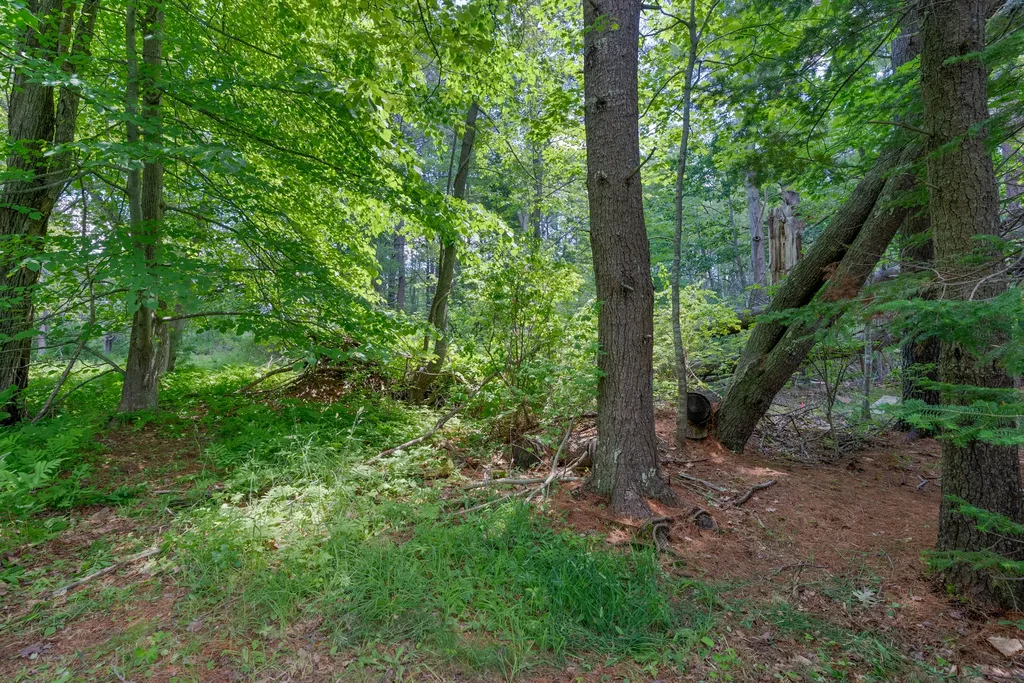 Lot 1 & 12 Wallace Street Kennebunk ME 04043