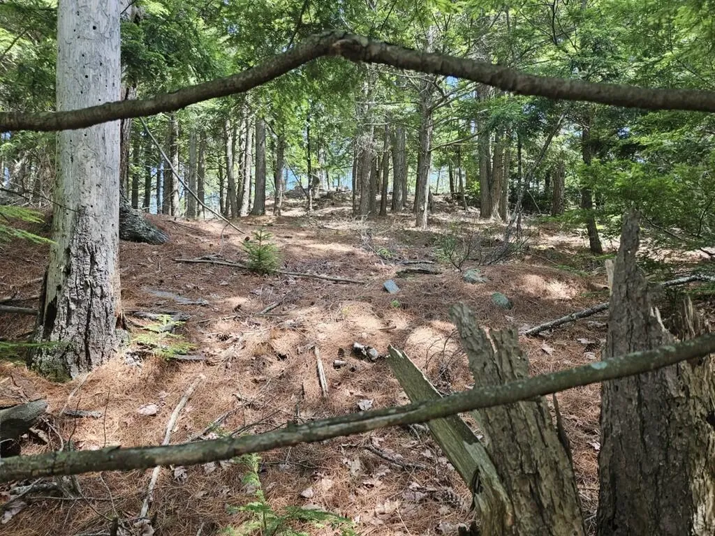 Multiple Quaker Ridge Road Leeds ME 04263