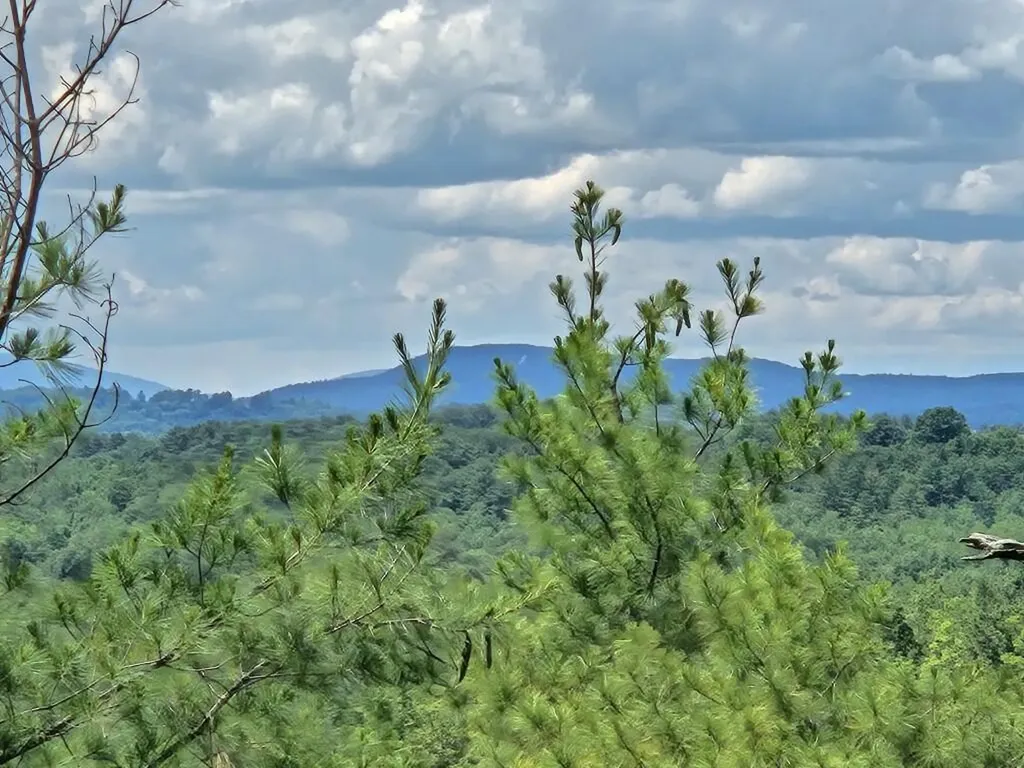 Multiple Quaker Ridge Road Leeds ME 04263