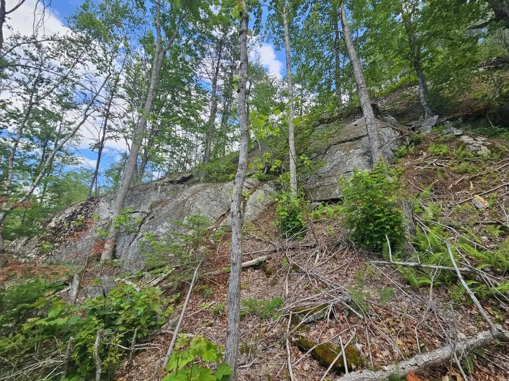Multiple Quaker Ridge Road Leeds ME 04263