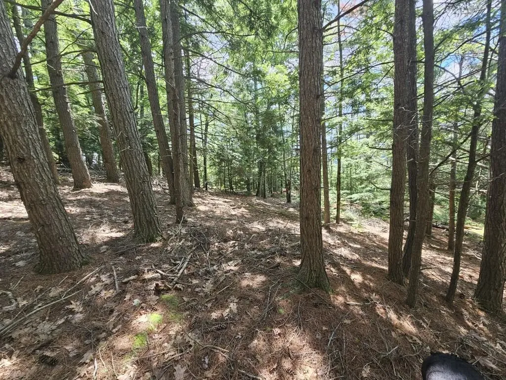 Multiple Quaker Ridge Road Leeds ME 04263