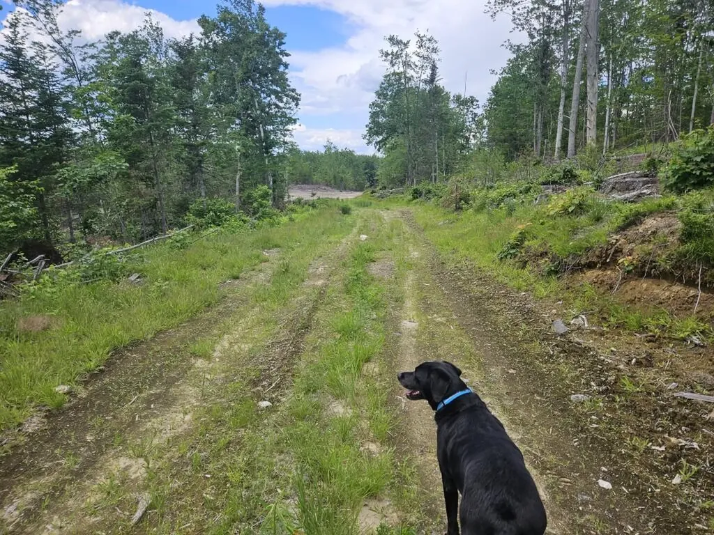 Multiple Quaker Ridge Road Leeds ME 04263