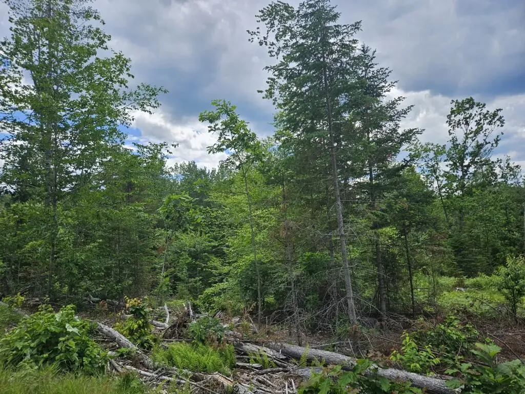 Multiple Quaker Ridge Road Leeds ME 04263