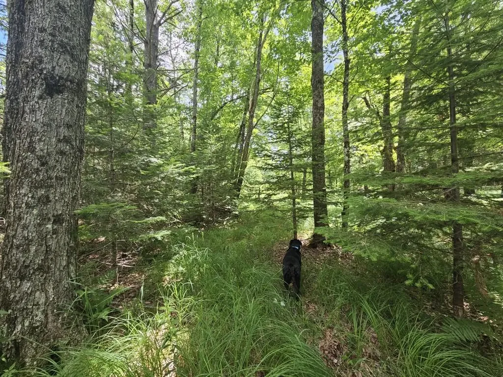 Multiple Quaker Ridge Road Leeds ME 04263