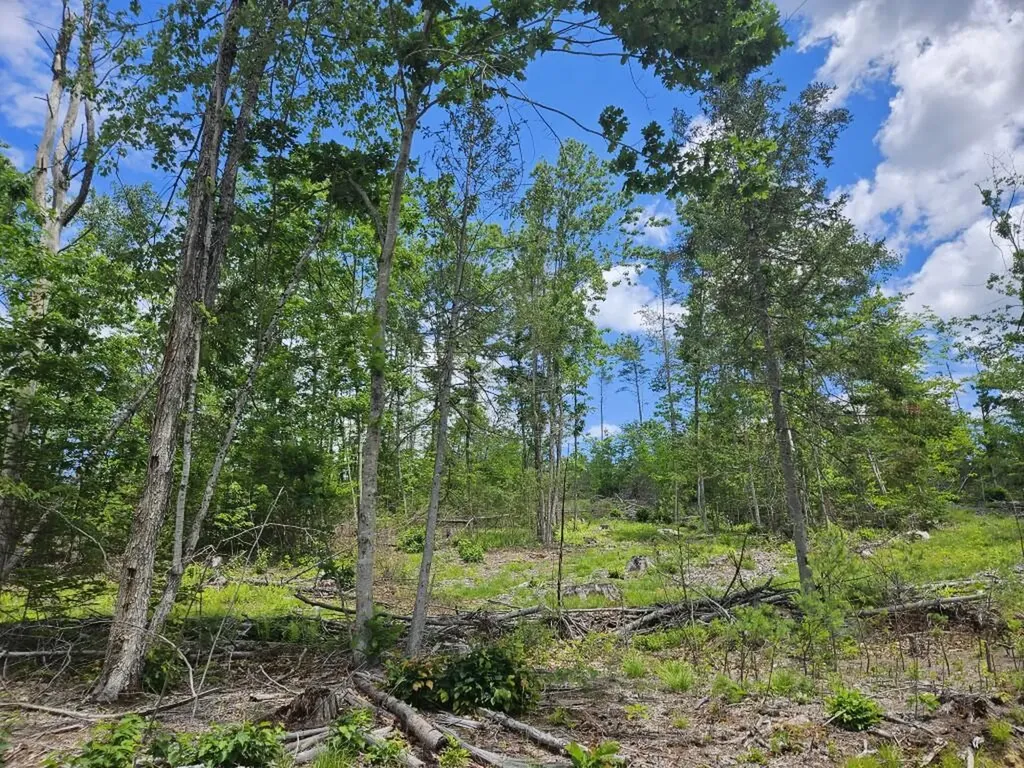 Multiple Quaker Ridge Road Leeds ME 04263