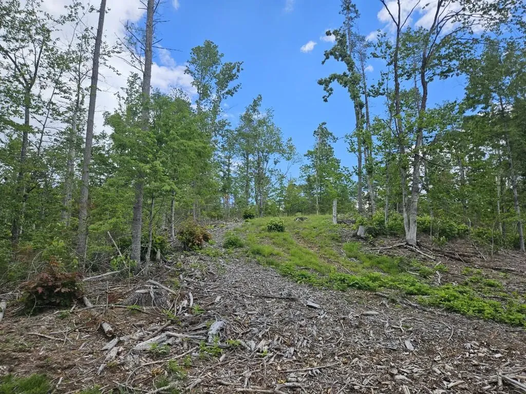 Multiple Quaker Ridge Road Leeds ME 04263