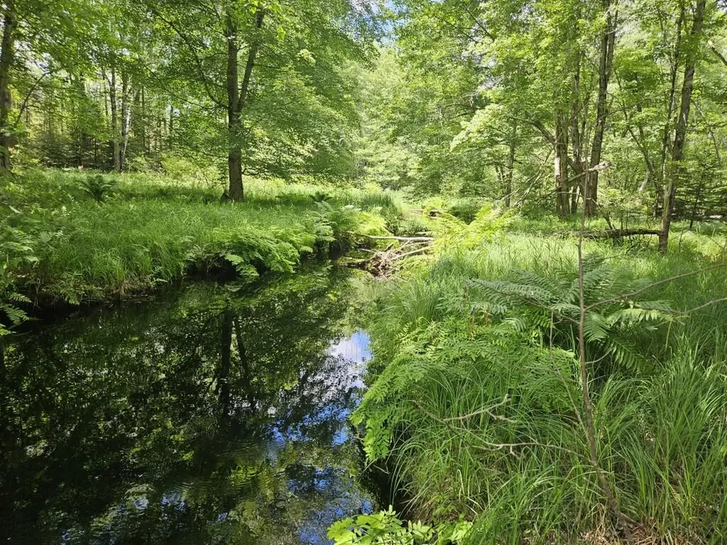 Multiple Quaker Ridge Road Leeds ME 04263