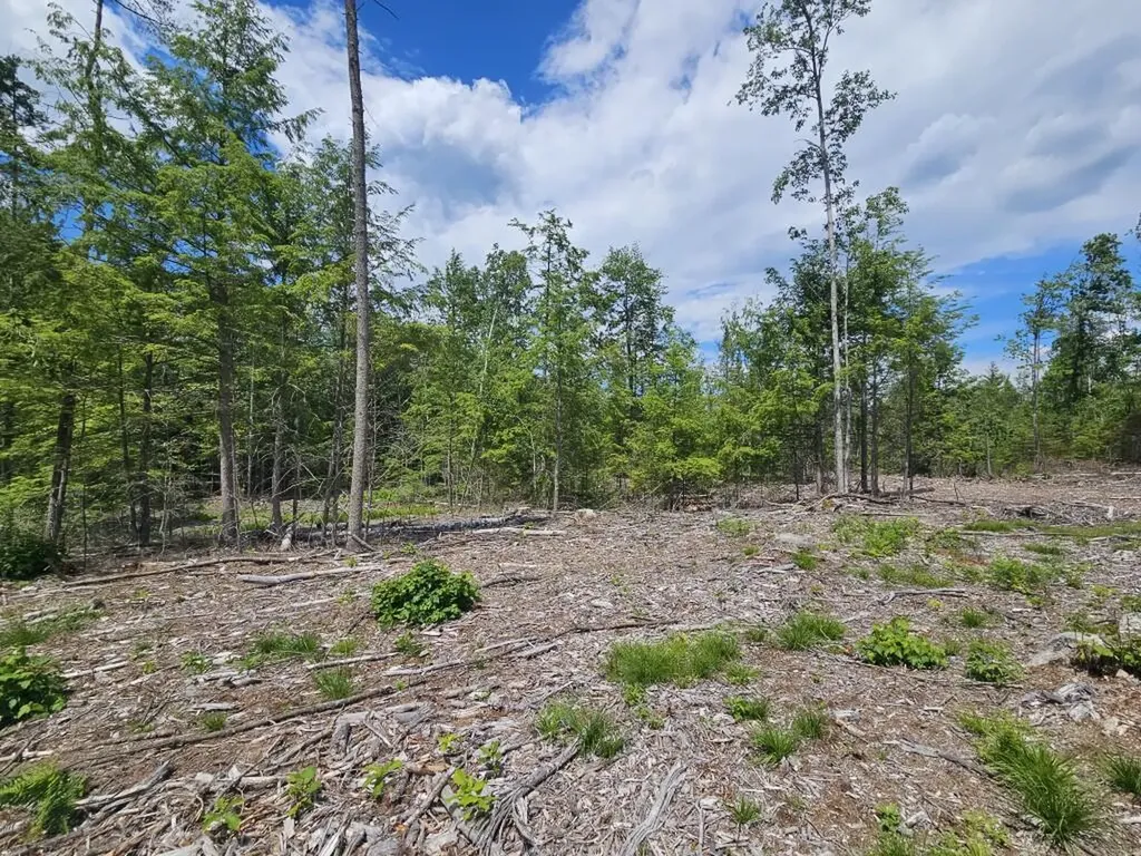 Multiple Quaker Ridge Road Leeds ME 04263