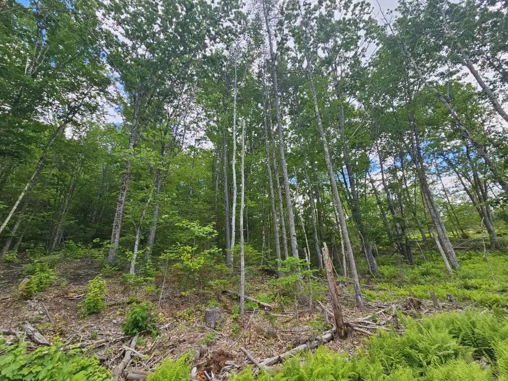 Multiple Quaker Ridge Road Leeds ME 04263