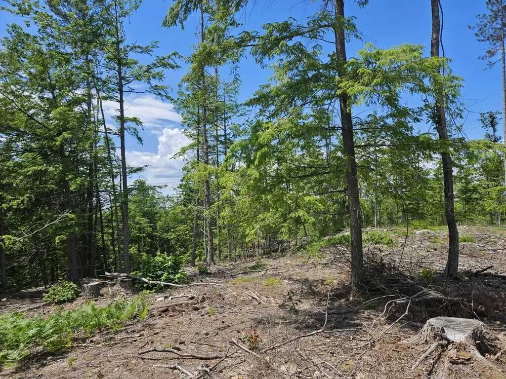 Multiple Quaker Ridge Road Leeds ME 04263