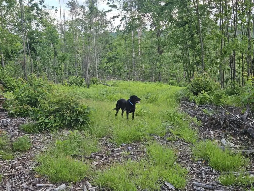 Multiple Quaker Ridge Road Leeds ME 04263
