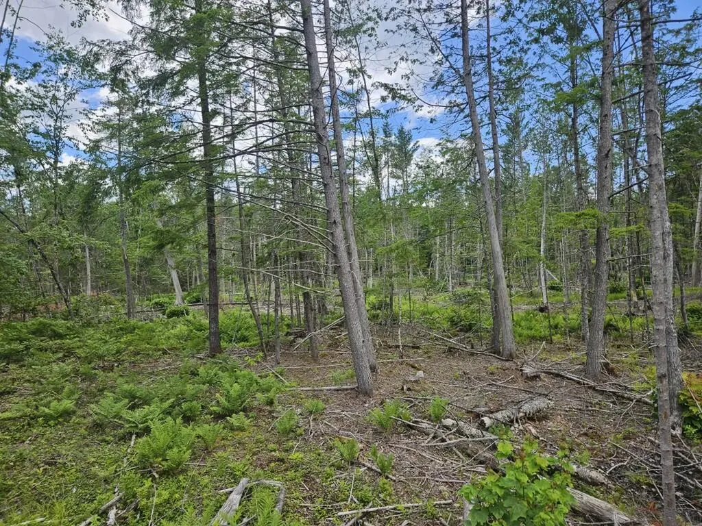 Multiple Quaker Ridge Road Leeds ME 04263