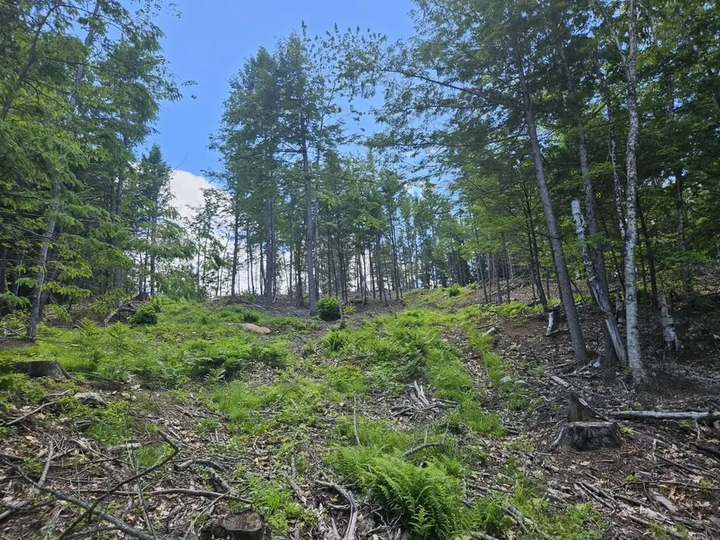 Multiple Quaker Ridge Road Leeds ME 04263