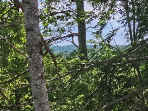 Multiple Quaker Ridge Road Leeds ME 04263