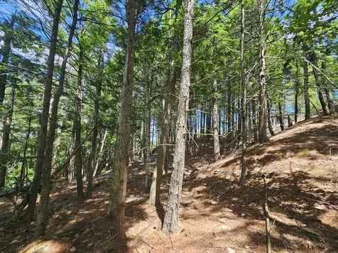 Multiple Quaker Ridge Road Leeds ME 04263
