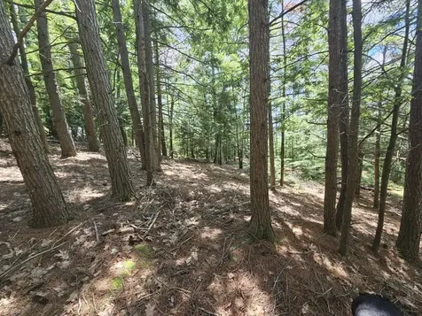 Multiple Quaker Ridge Road Leeds ME 04263